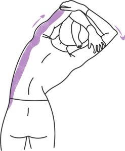 Étirement des muscles latéraux pour soulager les tensions du dos au travail
